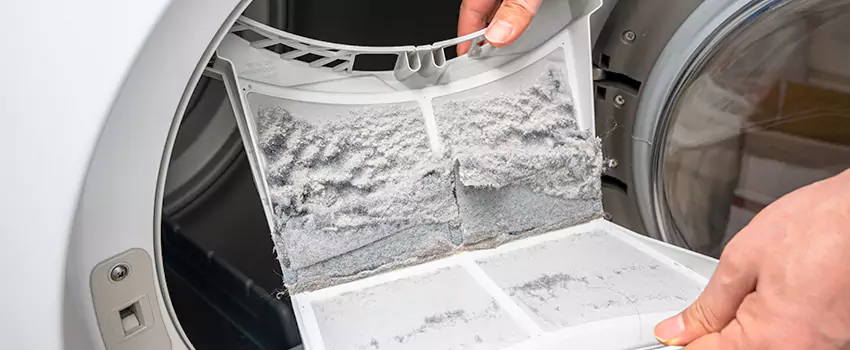 Best Dryer Lint Removal Company in Abu Dhabi, United Arab Emirates