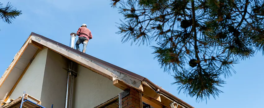 Birds Removal Contractors from Chimney in Abu Dhabi, UAE