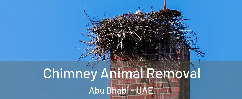  Chimney Animal Removal Abu Dhabi - UAE