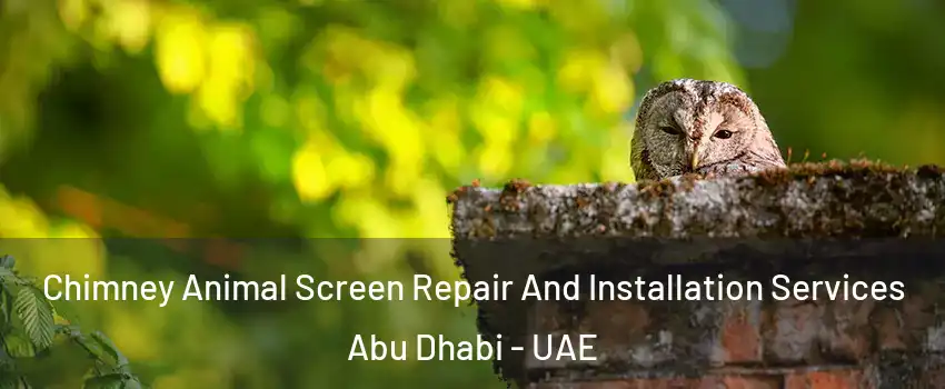  Chimney Animal Screen Repair And Installation Services Abu Dhabi - UAE