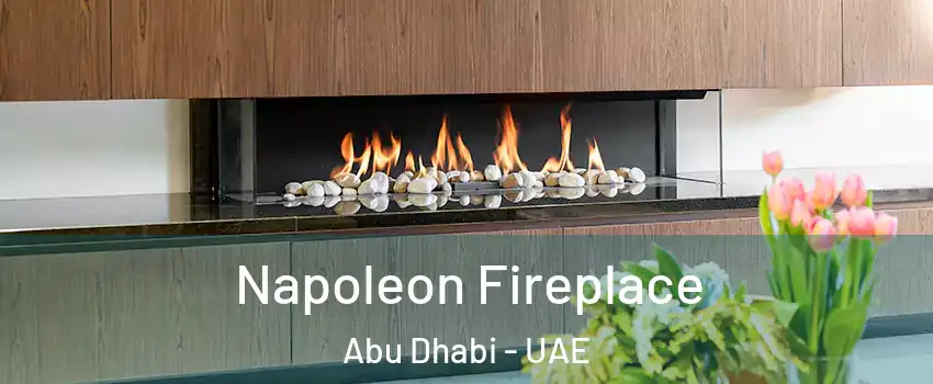  Napoleon Fireplace Abu Dhabi - UAE